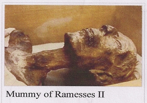 Ramesses II Visiting Paris (2/2)
